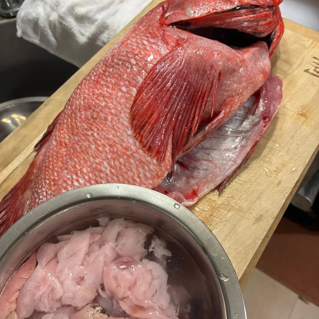 今日は久留米市場に行き、魚の買付をしました